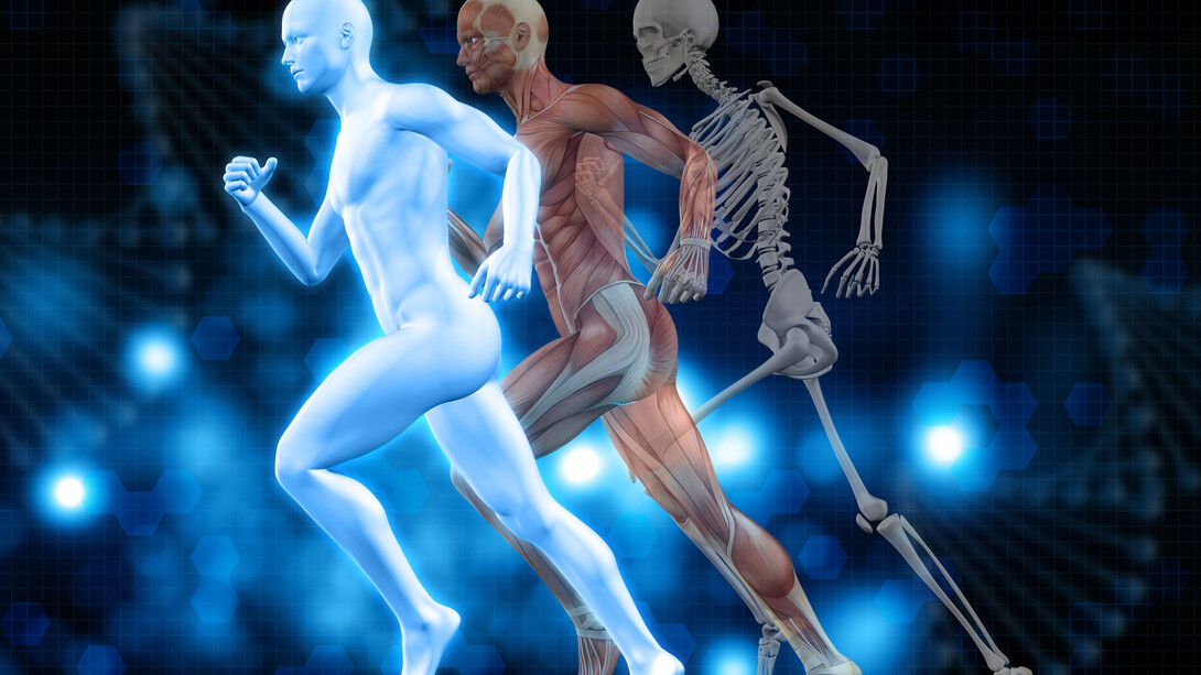 Você já deve ter ouvido falar no termo biohacking e talvez tenha imaginado algo futurista, distante da realidade cotidiana, ou até mesmo ligado a procedimentos invasivos e tecnologias complicadas. No entanto, o biohacking é, em essência, o conjunto de estratégias — muitas vezes simples, outras mais avançadas — que as pessoas utilizam para otimizar o funcionamento do corpo e da mente. No esporte, essa prática tem ganhado cada vez mais espaço, pois atletas buscam maneiras de elevar seu desempenho, acelerar a recuperação e prolongar a longevidade esportiva. Mas afinal, o que é biohacking no esporte? Quais são os mitos que cercam essa prática? E o que a ciência realmente diz sobre ela?