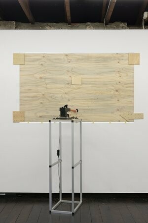 Garden variety Dykes, lesbian traditions in gardening, exhibition view. Courtesy of Firstdraft Gallery