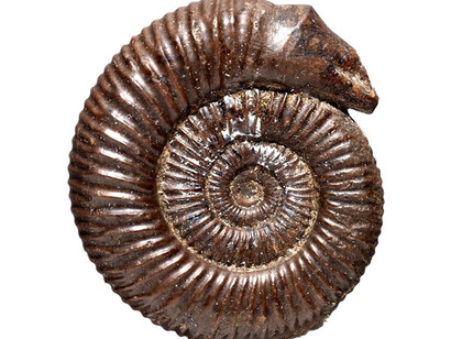 Geology. Courtesy of RAMM