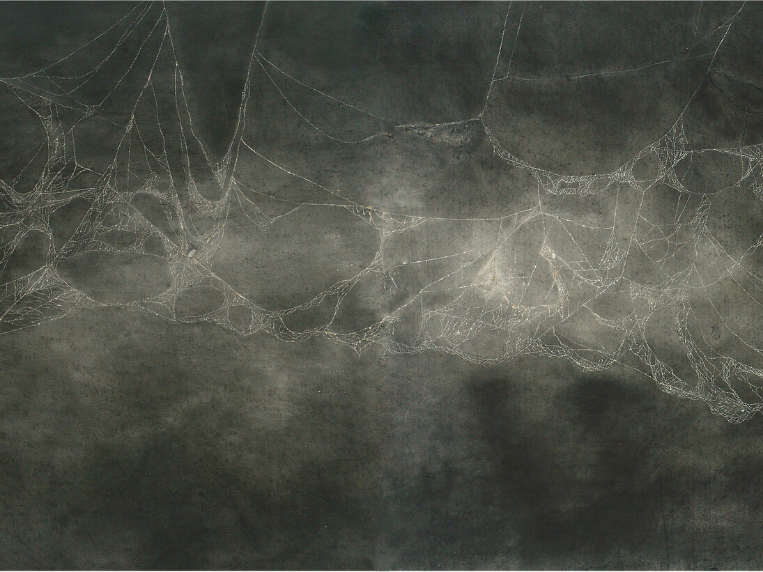 Dror Ben Ami, Webs II, 2014, charcoal on paper, 100 x 200 cm, detail