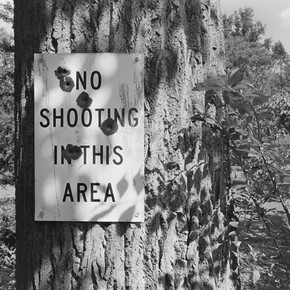 Lee Friedlander, New City, New York, 2014 / printed 2014, gelatin-silver print, 12-1/4 x 18-1/4 inches. © Lee Friedlander, courtesy Fraenkel Gallery, San Francisco