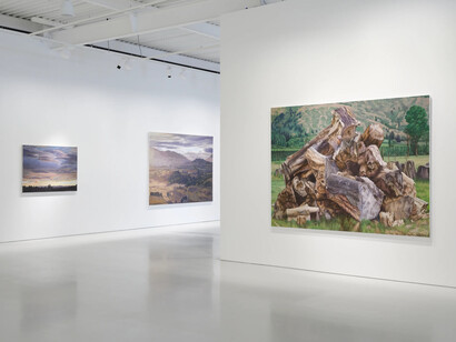 Dick Frizzell, The weight of the world, exhibition view. Courtesy of Gow Langsford Gallery