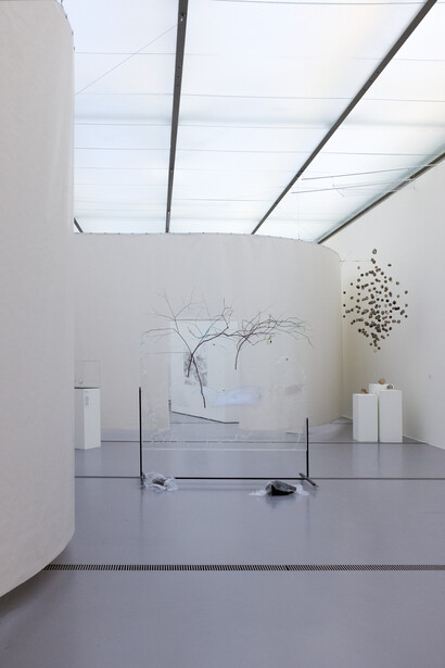 Touch nature, exhibition view. Courtesy of Lentos Kunstmuseum