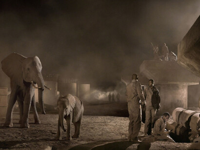 Nick Brandt. Courtesy of Waddington Custot Galleries