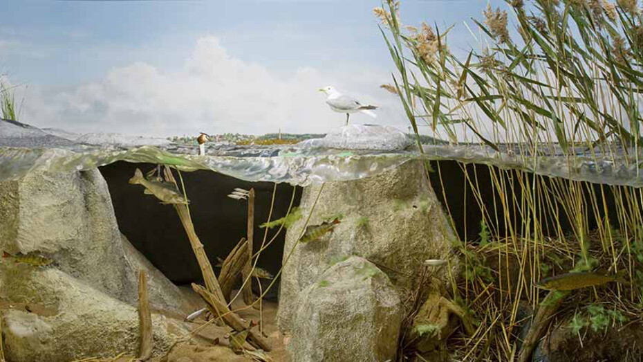 The Natural History Museum. Courtesy of Vapriikki