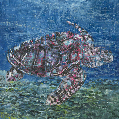 Katya Krasnaya, Eretmochelys imbricate