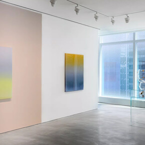 Mika Tajima, Penumbra, exhibition view. Courtesy of Pace Gallery