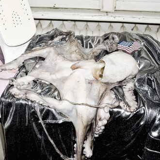 Dido Fontana, Untitled, 2013, C-print, 150 x 100 cm, ed. 12