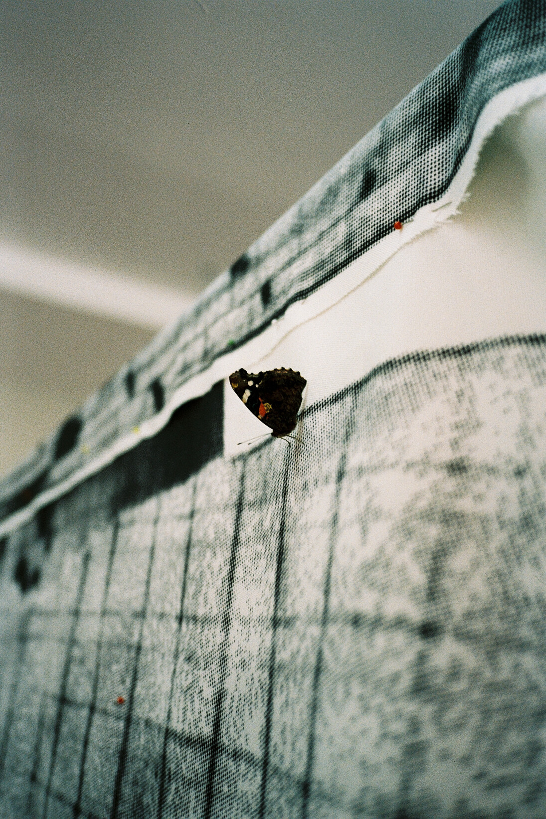 Armando Andrade Tudela, Detail of the work Metades XXL shot in the artist's studio.  Photo: Courtesy Galeria Fortes Vilaça