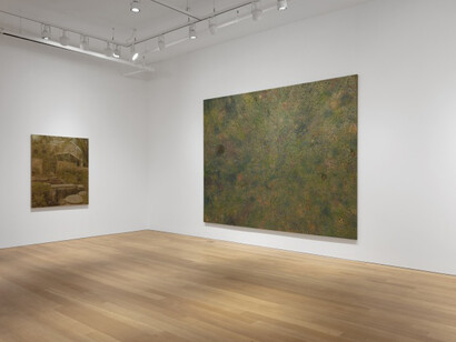 Stefan Kürten: The Prettiest Star. Courtesy of Alexander and Bonin Gallery