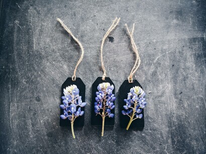 Piccole parole indispensabili alleati delle parole dal grande destino