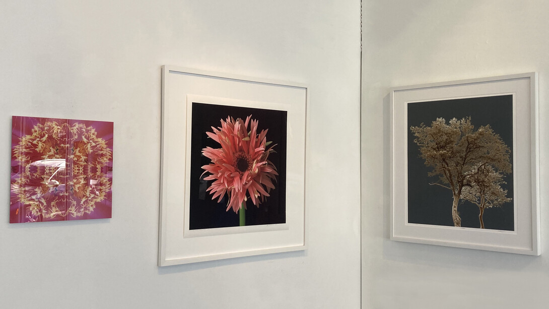 Various artists, Natural beauty, exhibition view. Courtesy of Elisa Contemporary Art