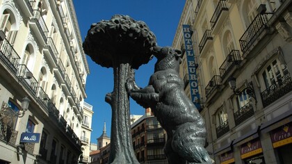 El oso y el madroño