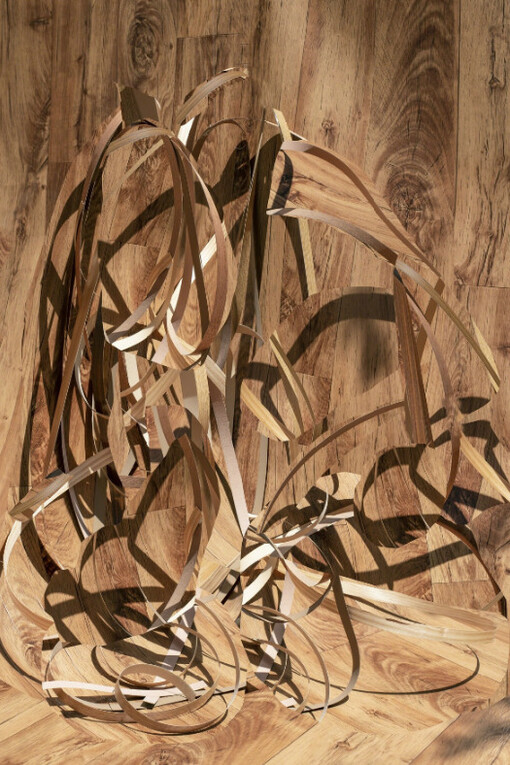 Nico Krijno. Courtesy of Elizabeth Houston Gallery