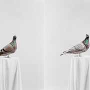 Museo Diocesano di Milano