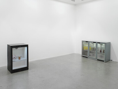 Gili Tal, Vilma Gold, 2015, installation view, courtesy Vilma Gold, London