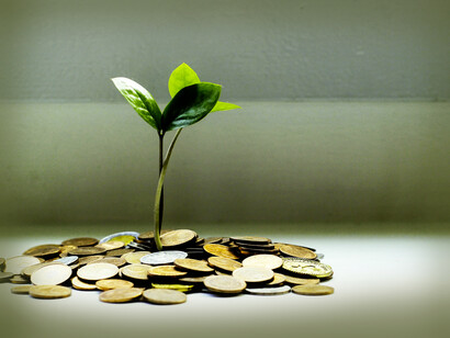 Any sustainable market approach that we can build, quickly, must be an open system