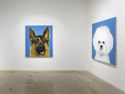 Ricardo Passaporte. Best In Show, installation view. Courtesy of Steve Turner