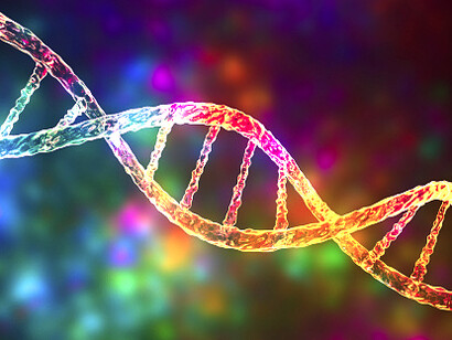 Il risultato ottenuto utilizzando il software Proseeker è utile sia nello studio dei meccanismi evolutivi sia per ricerche pratiche