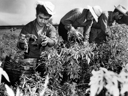 The real reasons behind illegal immigration