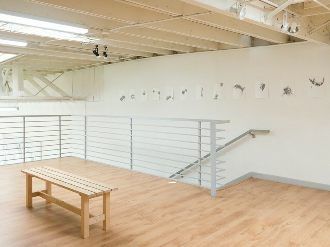 Manifestos, Exhibition view. Courtesy of Ochi Projects
