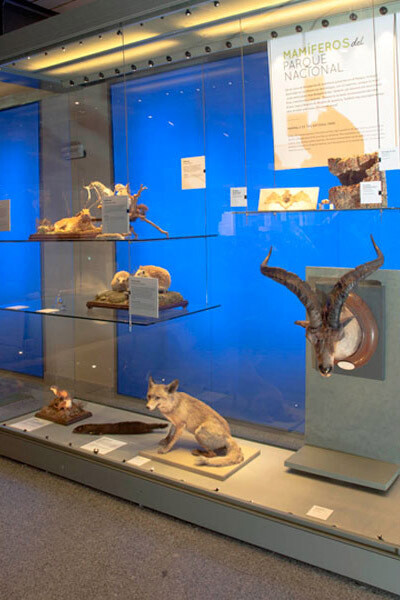 Fauna del Parque Nacional de la Sierra de Guadarrama. Courtesy of Museo Nacional de Ciencias Naturales