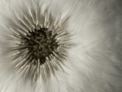 Kate MccGwire, Fissure detail. Photo JP Bland