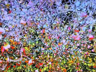 Jennifer Steinkamp. Courtesy of The Portland Art Museum