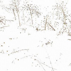 Fünfklang. Courtesy of Choi & Lager 