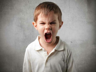 The evolution of our cerebral cortex has not favoured the development of behavioural mechanisms capable of intelligently inhibiting aggression
