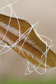 Airò, Surplace, foto di Camilla Borghese