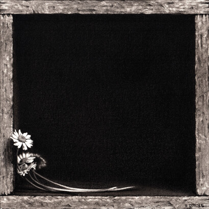 Emanuele Dascanio, Rothko's flowers, Carboncino e grafite su cartone applicato su tela, 15 x 15 cm, 2015