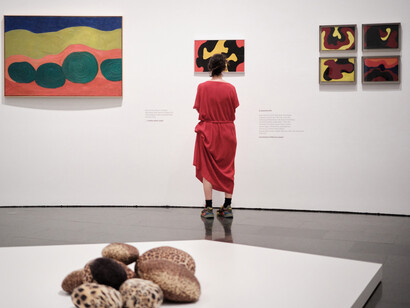 Mari Chordà, ... And many other things, exhibition view. Courtesy of Museu d’Art Contemporani de Barcelona
