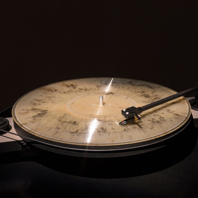 Francesca Grilli, Terra, 2015, detail