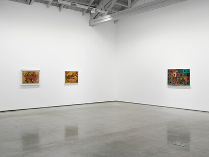 Chico da Silva, Amazônico, exhibition view. Courtesy of David Kordansky Gallery