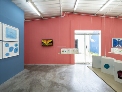 Sheroanawe Hakihiiwe, Riprosipe thamou hithithiwe (Libros de conocimiento), vista de exhibición. Cortesía de ABRA