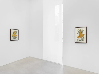 Rosana Paulino, Bloom in the sunlight, dream in the moonlight, vista da exposição. Cortesia de Mendes Wood DM