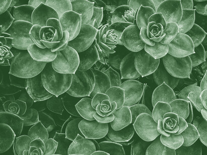 The Mattering Map can morph in a second