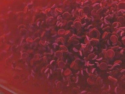 Human red blood cells