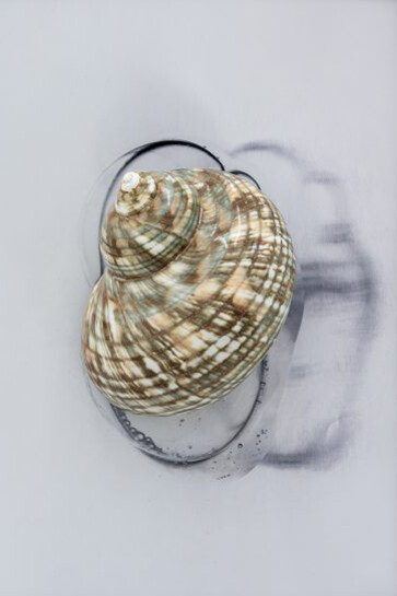 Hélène Fauquet, Everb, 2025. Mit freundlicher genehmigung von Meyer-Kainer Gallery