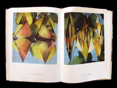 Cristian Chironi, Cutter (A_bel_u  s_k_irnes), libro d'artista intagliato a mano, misure 15x20,5cm (libro chiuso), collezione Museo MAN Nuoro, 2013 (dettaglio di una pagina)