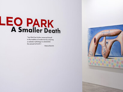 Leo Park, A smaller death, exhibition view. Courtesy of Ascaso Gallery