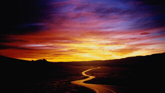 La vida. Un camino lleno de curvas