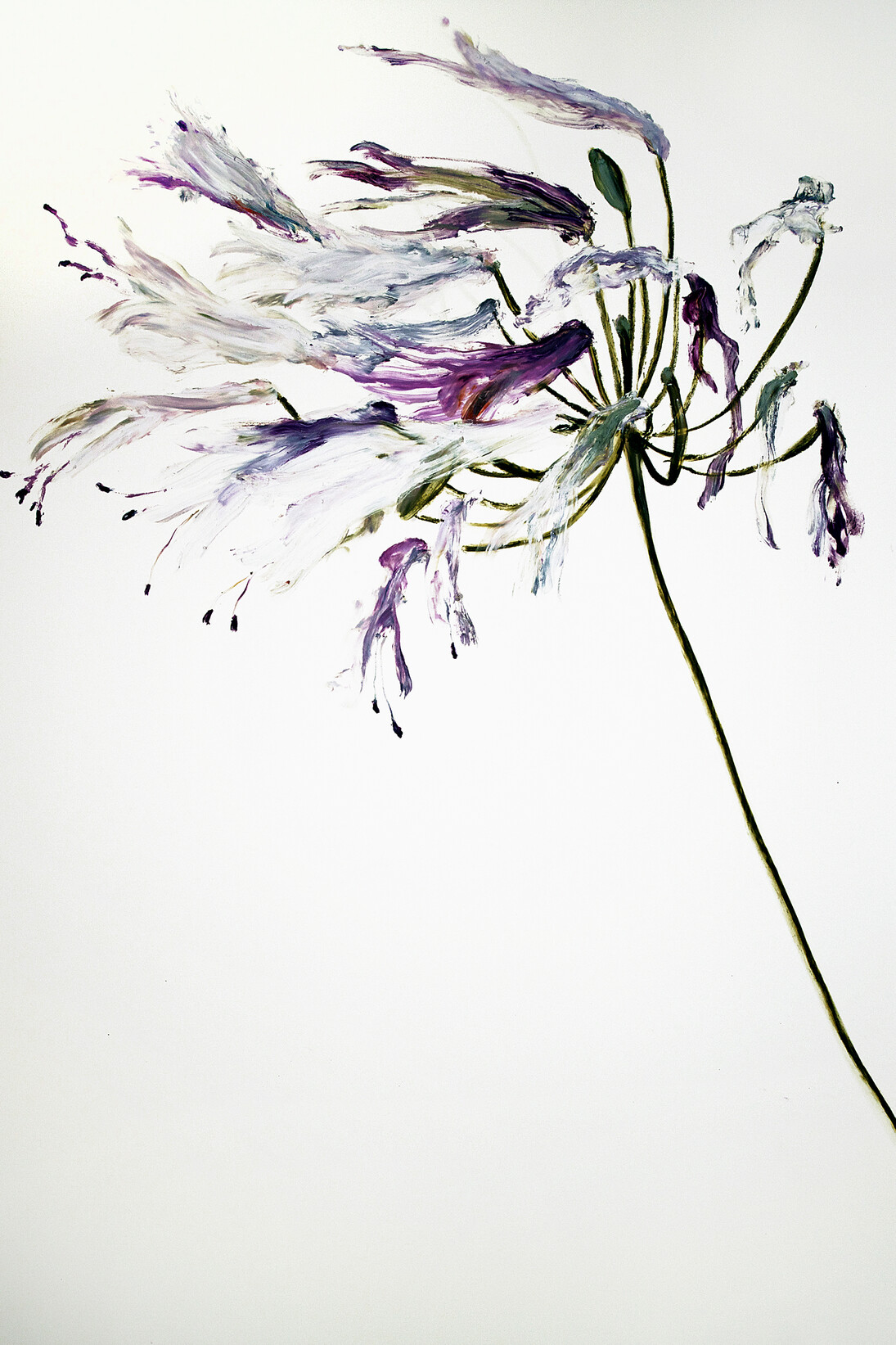 Gaël Davrinche, Memento Mori, 2015 © the artist, courtesy Magda Danysz gallery
