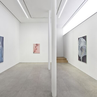 Vivian Greven, In bloom, exhibition view. Courtesy of Perrotin