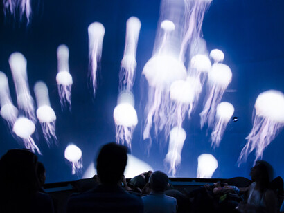 Do cosmos a nós, vista da exposição. Cortesia do Museu do Amanhã