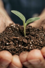 Planto sonhos porque acredito que eles precisam ser realizados, já não planto mais sonhos que não me interessam, eles, além de ocuparem espaços que poderiam ser mais bem utilizados, ainda ocupam o meu tempo, que merece ser investido em sonhos mais empolgantes, que me fazem lutar por eles com todas as minhas forças