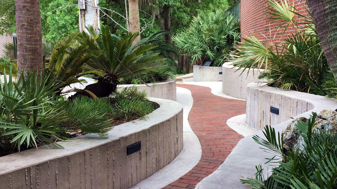 Fossil Plant Garden. Courtesy of Florida Museum of Natural History
