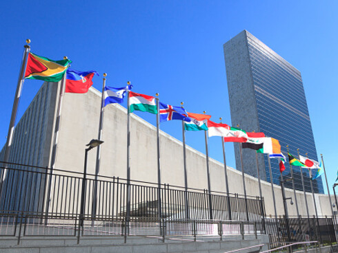 L'ONU dà la possibilità e opportunità a persone come Giorgia Depaoli di rendere semplicemente più abitabile questo nostro mondo