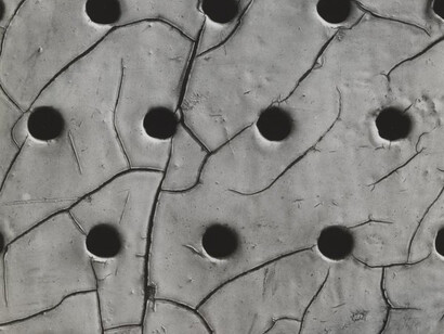 Into the Light. Courtesy of Tate 